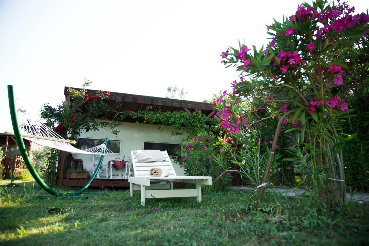 Hotel Cunda Fora Glamping Ayvalı Exterior foto