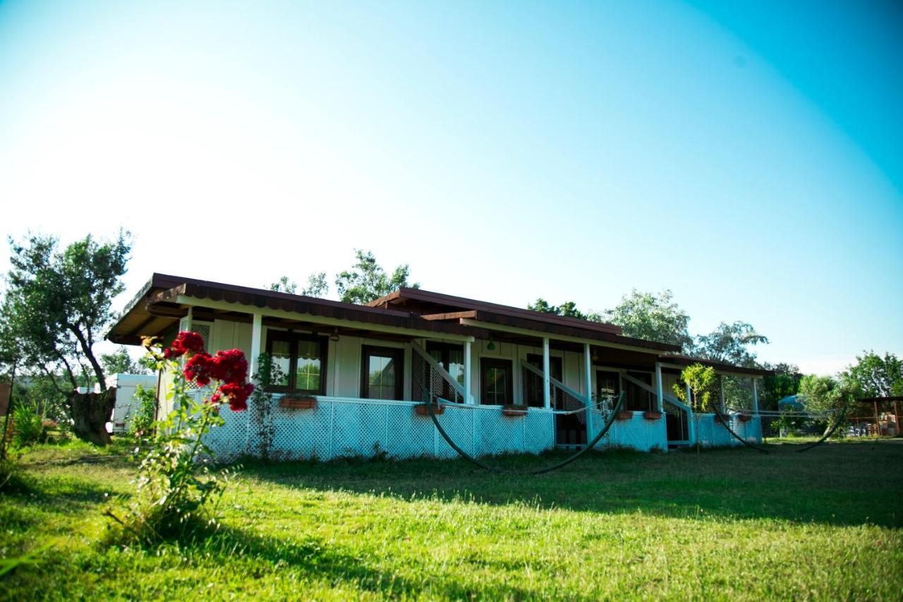 Hotel Cunda Fora Glamping Ayvalı Exterior foto